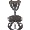 IGNITE GRYPHON - Image 2